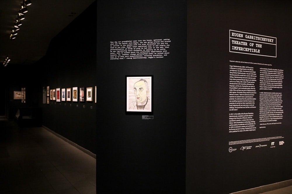 Gabritschevsky & Zinelli